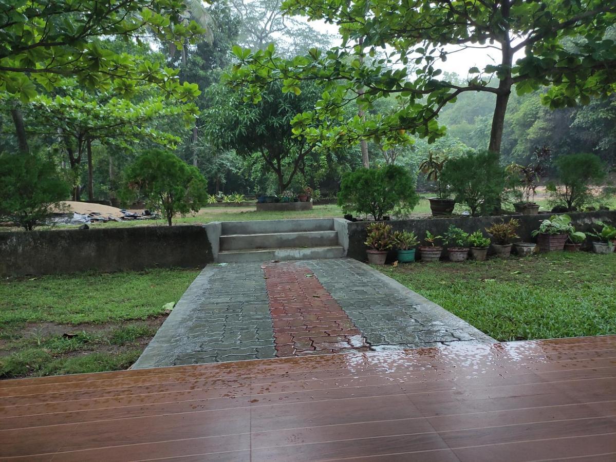 Deer Garden Guest Hotel Polonnaruwa Eksteriør billede