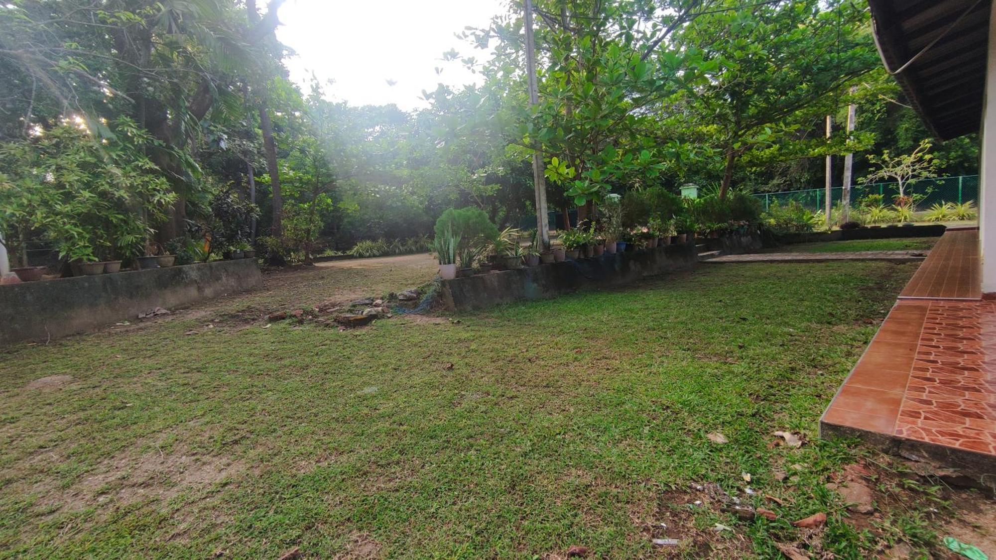Deer Garden Guest Hotel Polonnaruwa Eksteriør billede