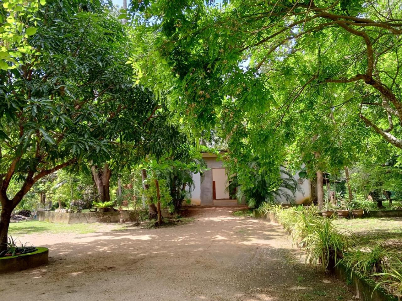 Deer Garden Guest Hotel Polonnaruwa Eksteriør billede